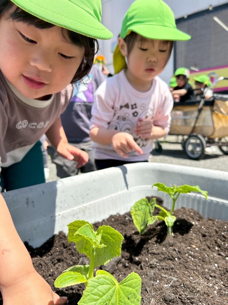 かたつむり園 イベント情報